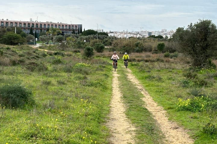 a group of people in a field