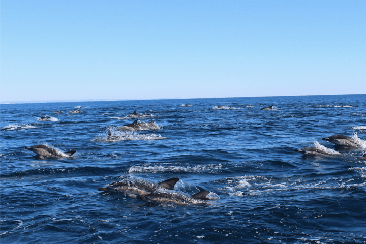 a body of water next to the ocean