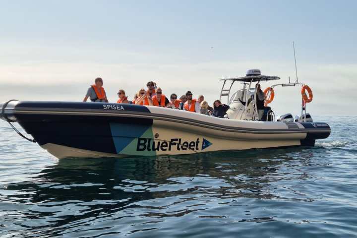 a group of people on a boat in the water